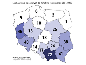 Winnice w Polsce